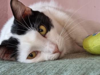 Wilma Bild von Wilma