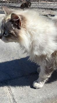 Jane Bild von Jane