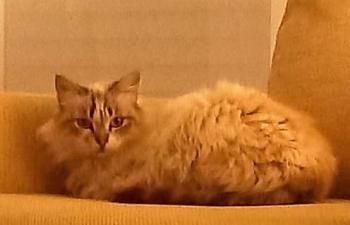 Jane Bild von Jane