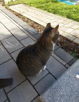 Luky Bild von Luky