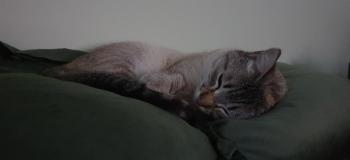 Clara Bild von Clara