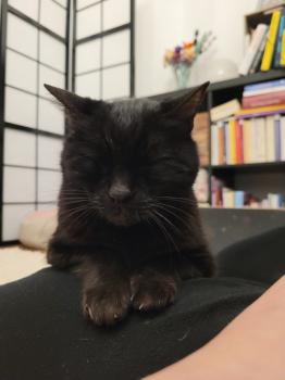 Benito Bild von Benito
