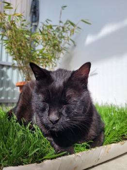 Benito Bild von Benito