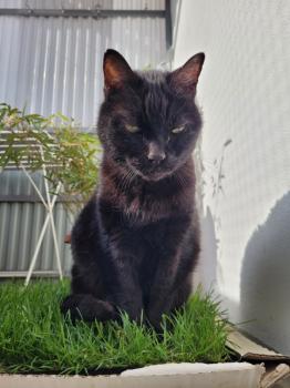Benito Bild von Benito