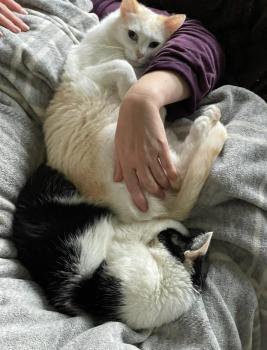 Perla Bild von Perla