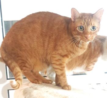 Momo Bild von Momo