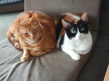 Loulou Bild von Loulou