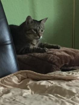 Tistou Bild von Tistou