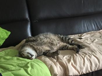 Tistou Bild von Tistou