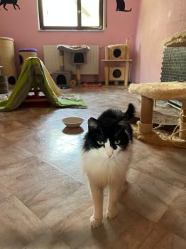 Layla Bild von Layla