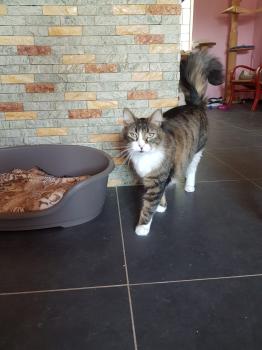 Gizmo Bild von Gizmo