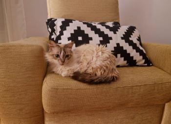 Jane Bild von Jane