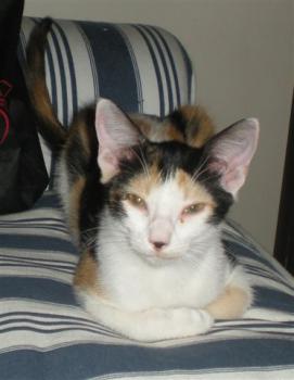 Bild von Picasa