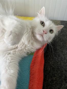 Winnie Bild von Winnie