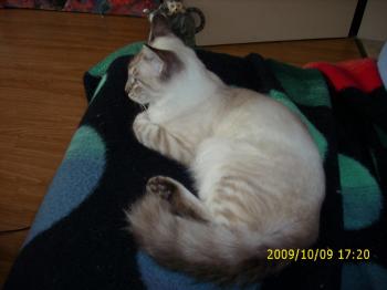 Sammy Bild von Sammy
