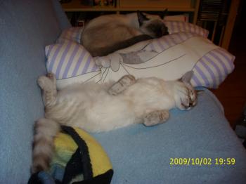 Sammy Bild von Sammy