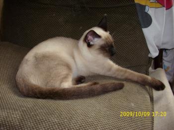 Biberoni Bild von Biberoni