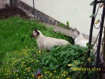 Biberoni Bild von Biberoni