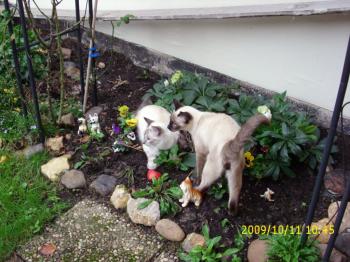 Biberoni Bild von Biberoni