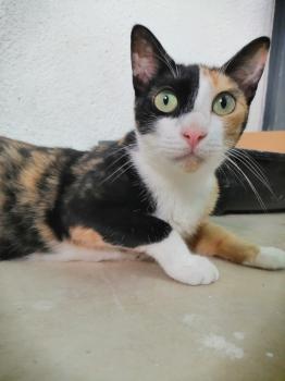 Loira Bild von Loira