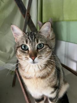 Lulú Bild von Lulú