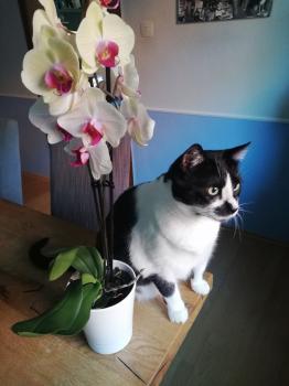 Bild von Naana