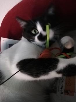Bild von Naana