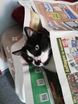 Bild von Naana