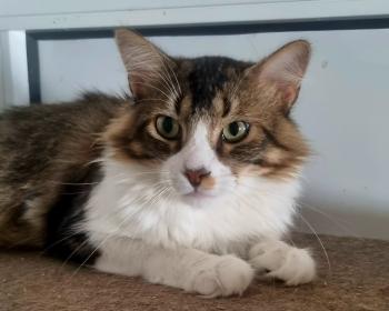 Aslaug Bild von Aslaug