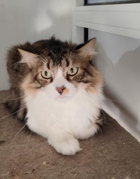 Aslaug Bild von Aslaug