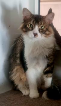 Aslaug Bild von Aslaug