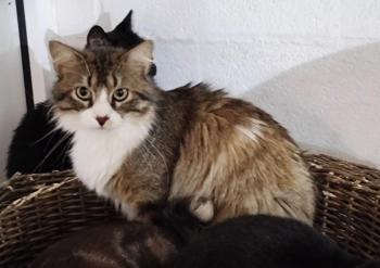 Aslaug Bild von Aslaug