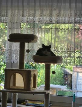 Bild von Bittor