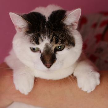 Ruffy Bild von Ruffy