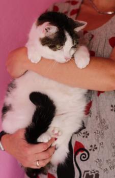 Nala Bild von Nala
