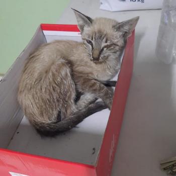 Helga Bild von Helga