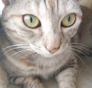Amelia Bild von Amelia