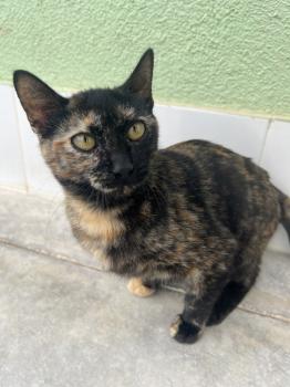 Dora Bild von Dora