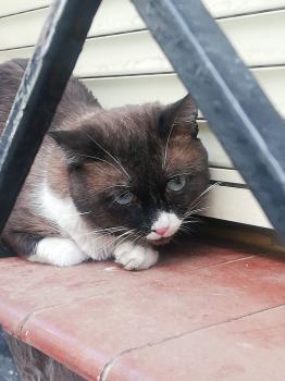 Bild von Bandit