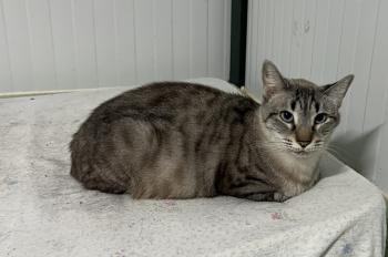Clyde Bild von Clyde