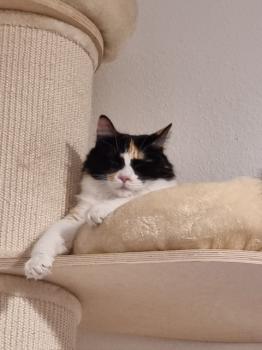 Melisa Bild von Melisa