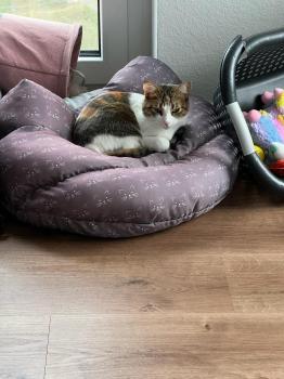 Jessi Bild von Jessi