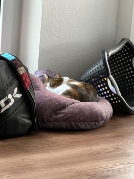 Jessi Bild von Jessi