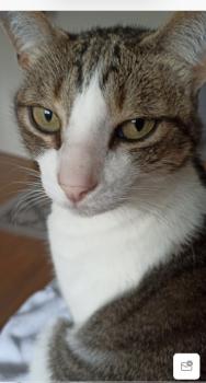 Pi Bild von Pi