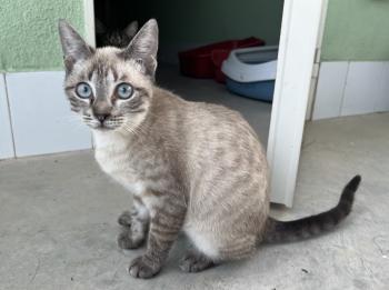 Helga Bild von Helga