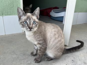 Helga Bild von Helga