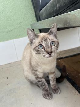 Helga Bild von Helga