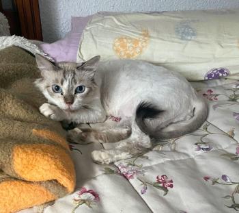 Jane Bild von Jane