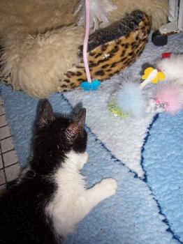 Milly Bild von Milly