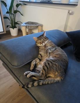 Princess Bild von Princess